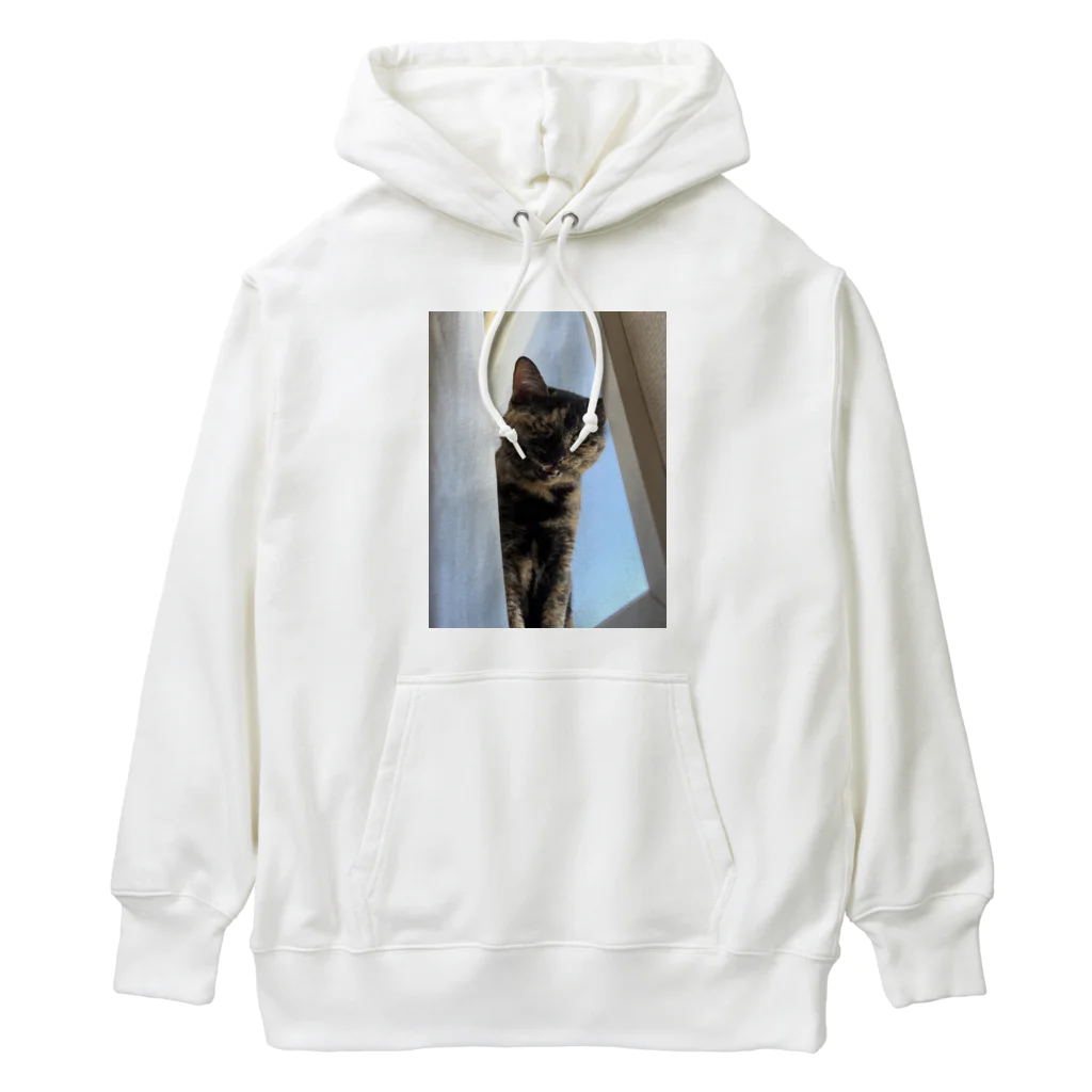 燕麦のｶﾞｵ~ｯ Heavyweight Hoodie