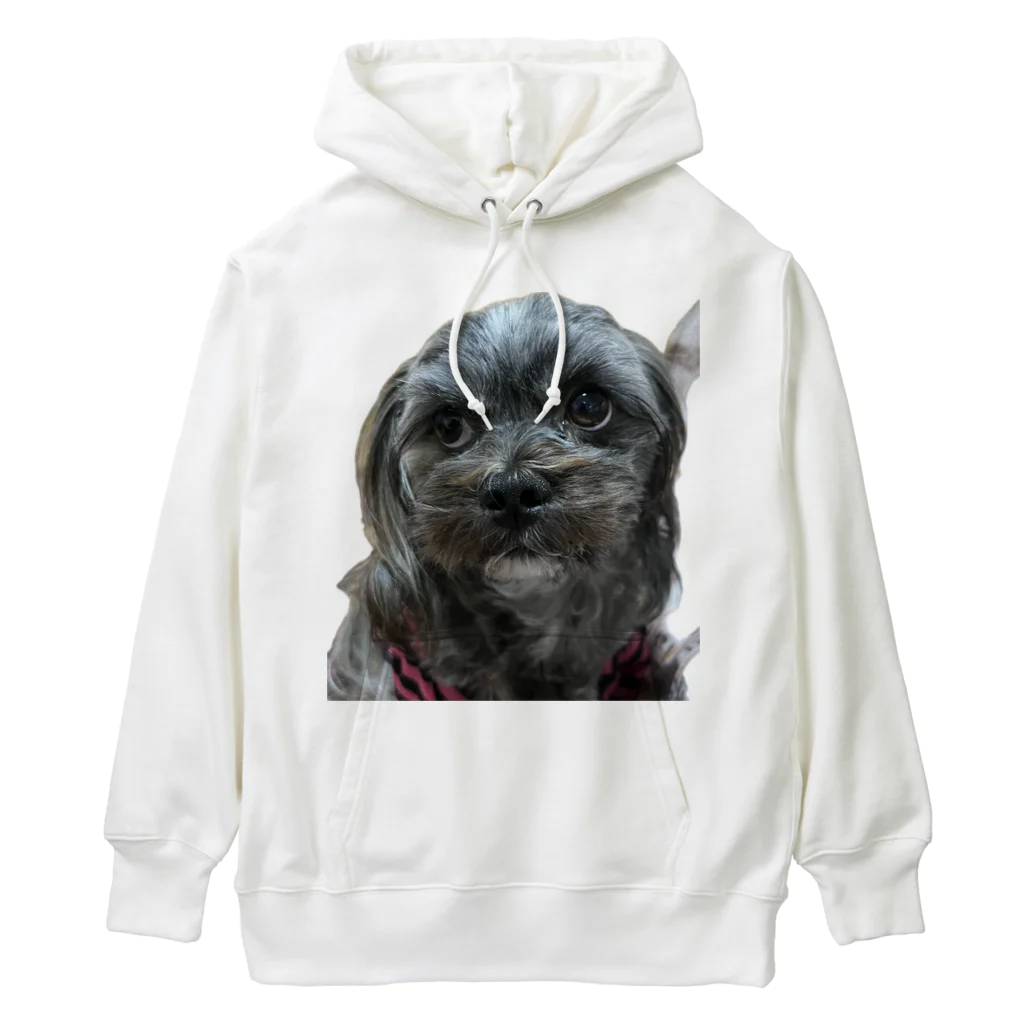 みたらし団子のふたたまちゃんの可愛いわんちゃん Heavyweight Hoodie