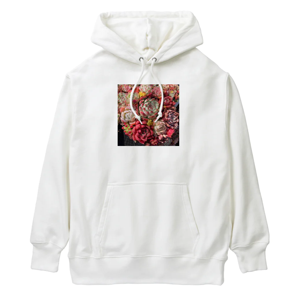 Echeveria_Masterの華やかなエケベリア Heavyweight Hoodie