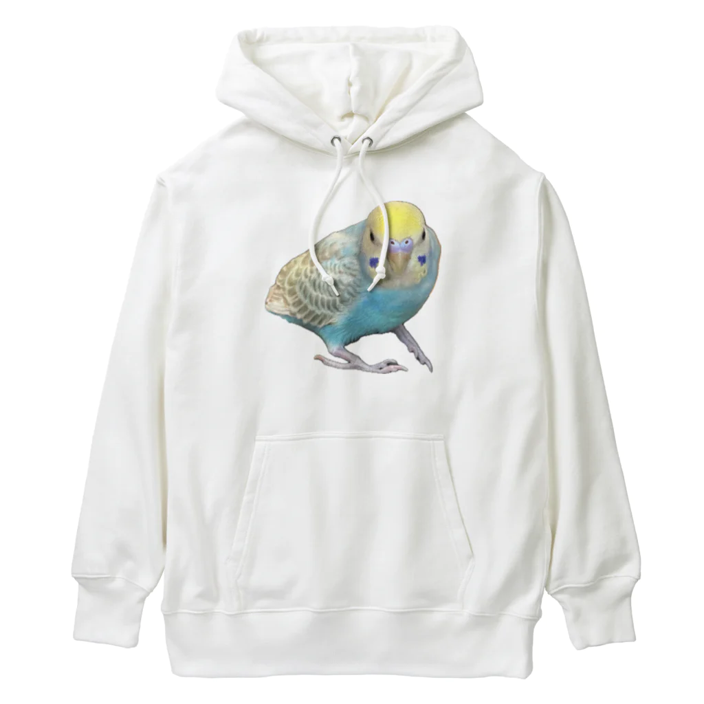 garapagos インコイングッズの癒しインコ Heavyweight Hoodie