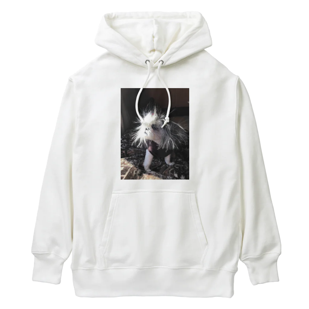 ram_bonのゴッドラム Heavyweight Hoodie