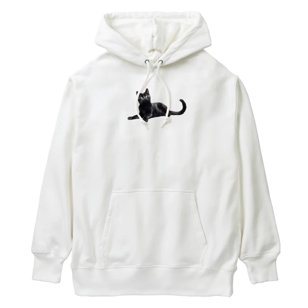 日向ぼっこの黒猫ちも Heavyweight Hoodie