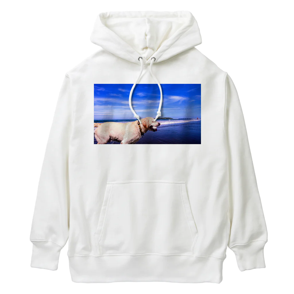 Dub 2ndのラブラドール海老蔵 Heavyweight Hoodie