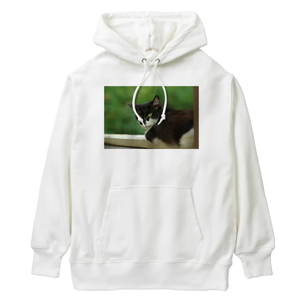 horidesuの振り向くネコ Heavyweight Hoodie