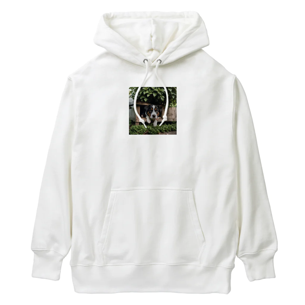 kokin0の箱の中から覗く犬 dog looking in the box Heavyweight Hoodie