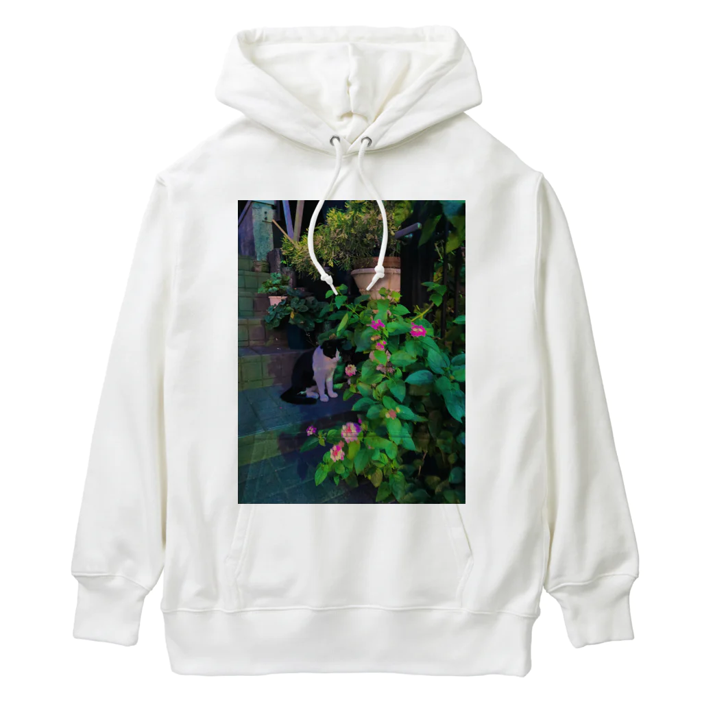 クドームーンの階段の野良猫 Heavyweight Hoodie