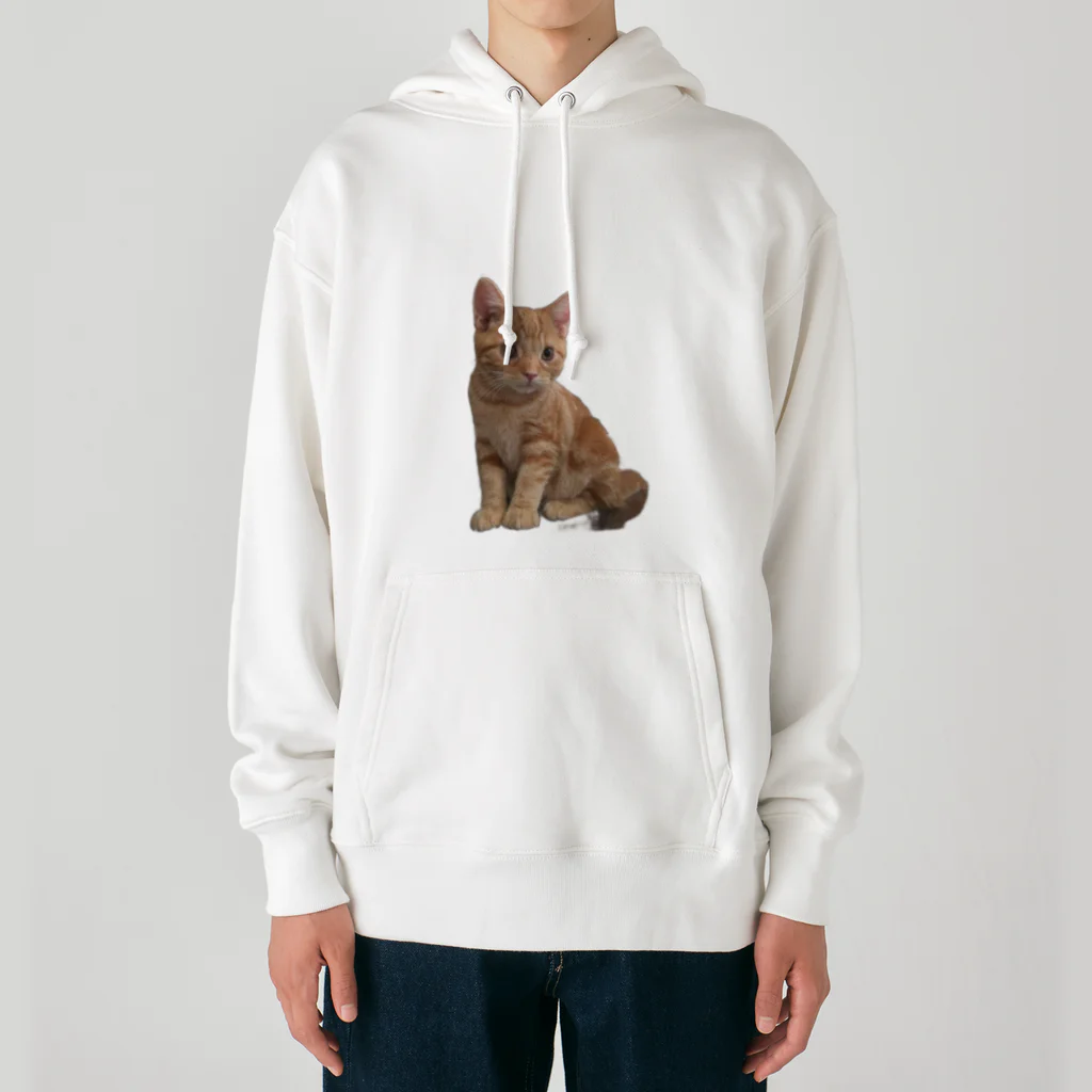 NoeL_SのおチビNoel Heavyweight Hoodie