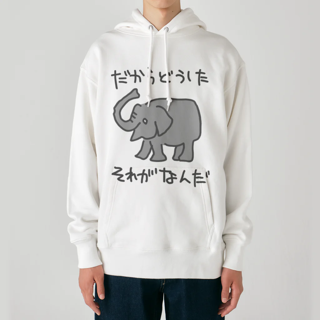 ミナミコアリクイ【のの】のそれがどうした【ゾウ】 Heavyweight Hoodie