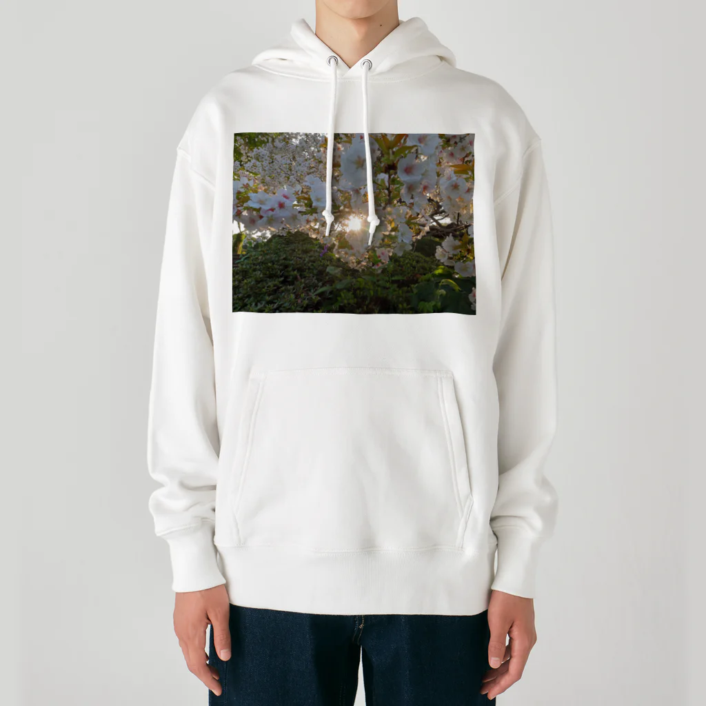 nokkccaの桜満開 - Backlit Sakura - Heavyweight Hoodie