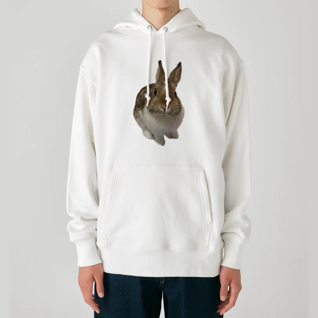 moruchipe shopのみつめるモルペ Heavyweight Hoodie