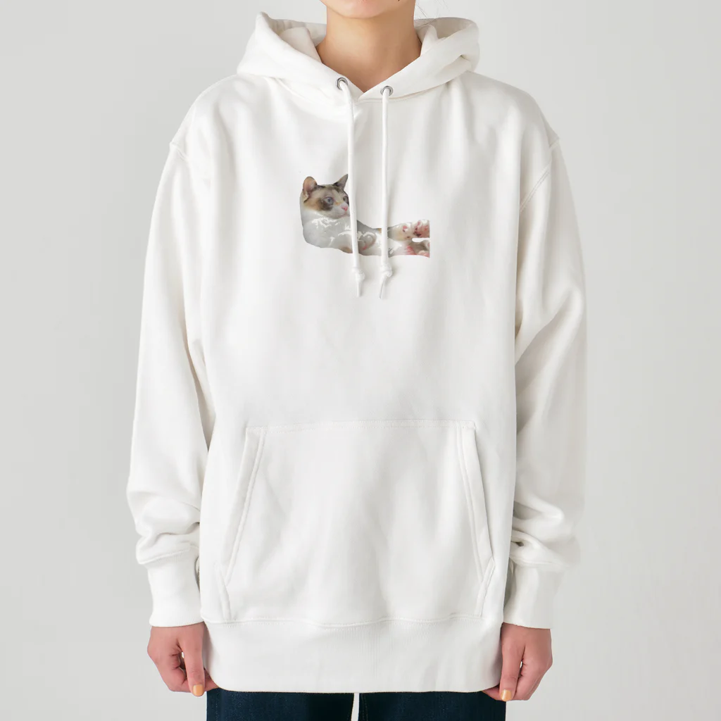 ｱｽｶのわさびの服 Heavyweight Hoodie