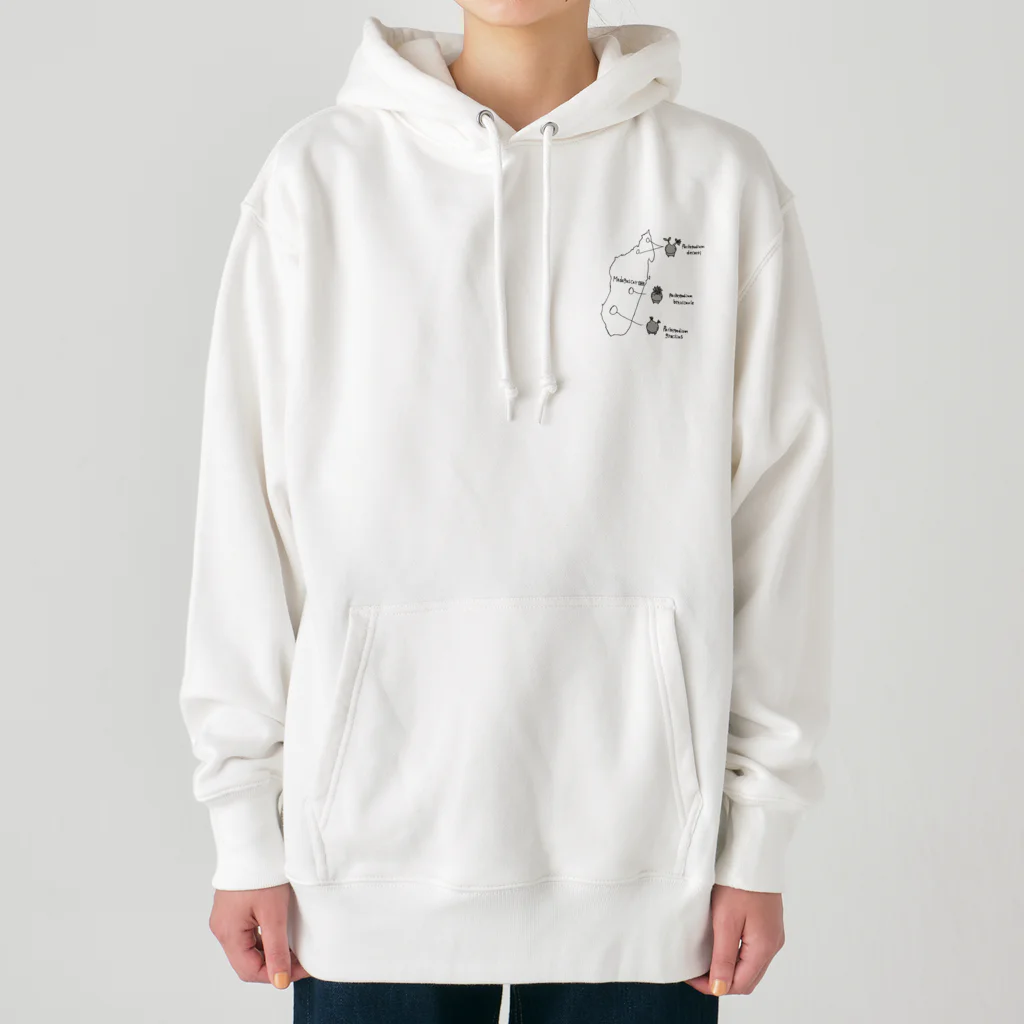 knpgのマダガスカル　コーデックス Heavyweight Hoodie