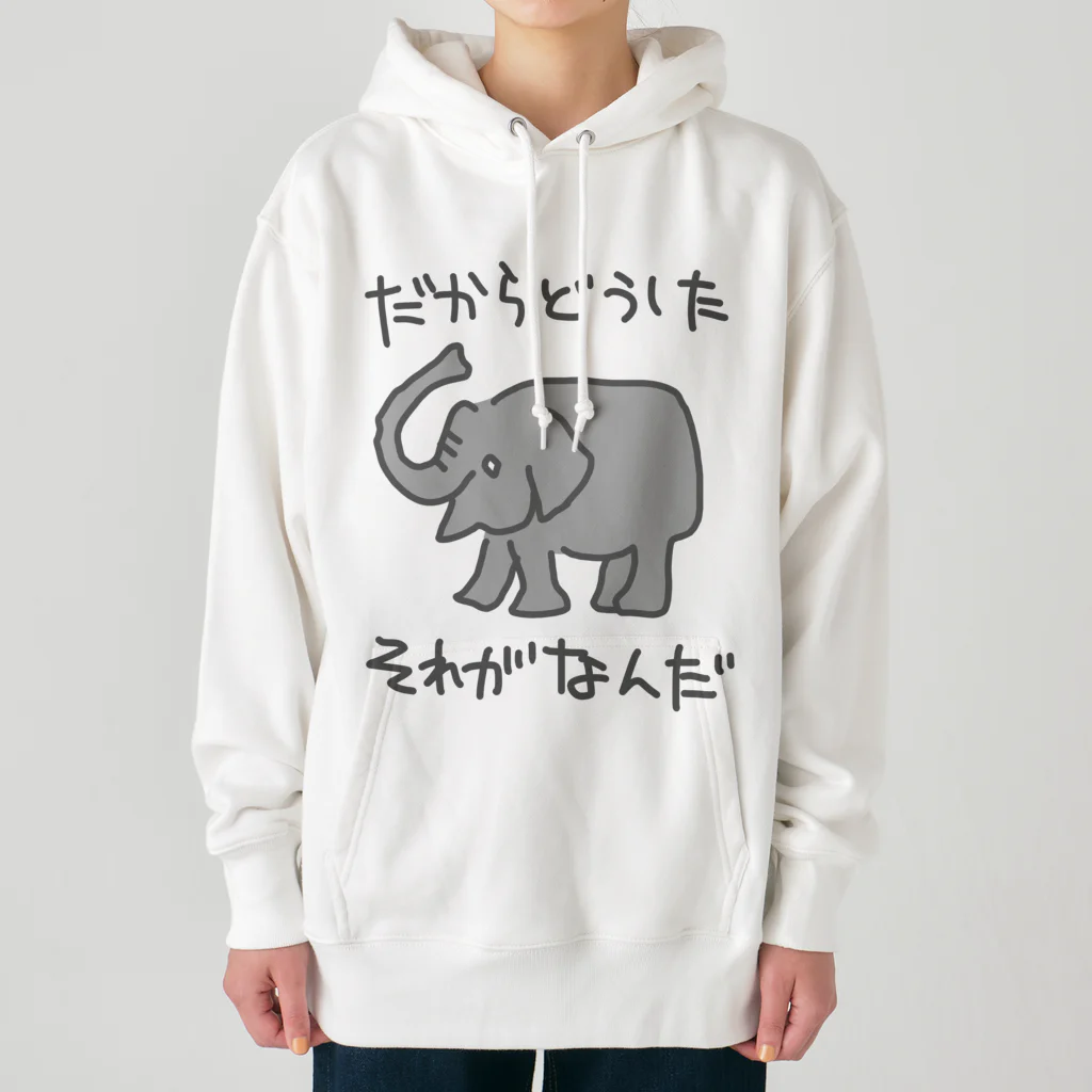 ミナミコアリクイ【のの】のそれがどうした【ゾウ】 Heavyweight Hoodie