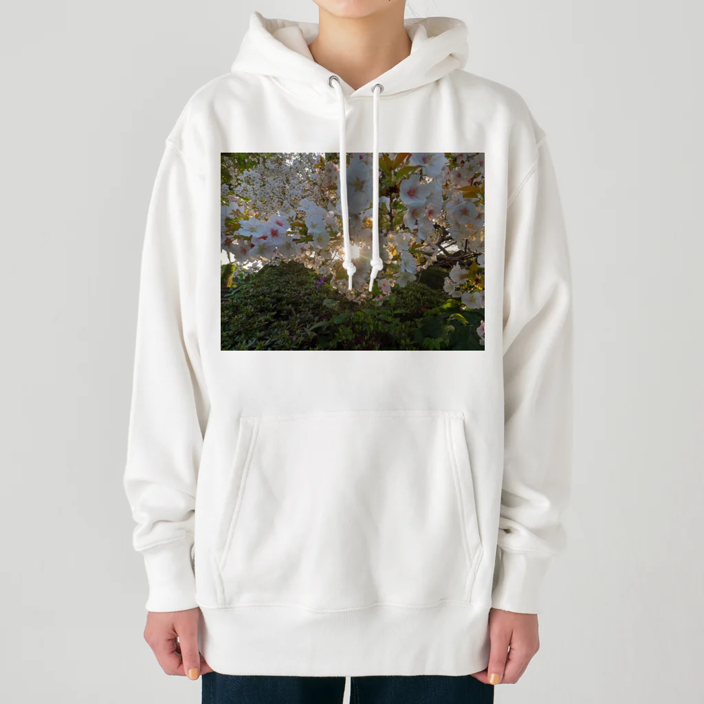 nokkccaの桜満開 - Backlit Sakura - Heavyweight Hoodie