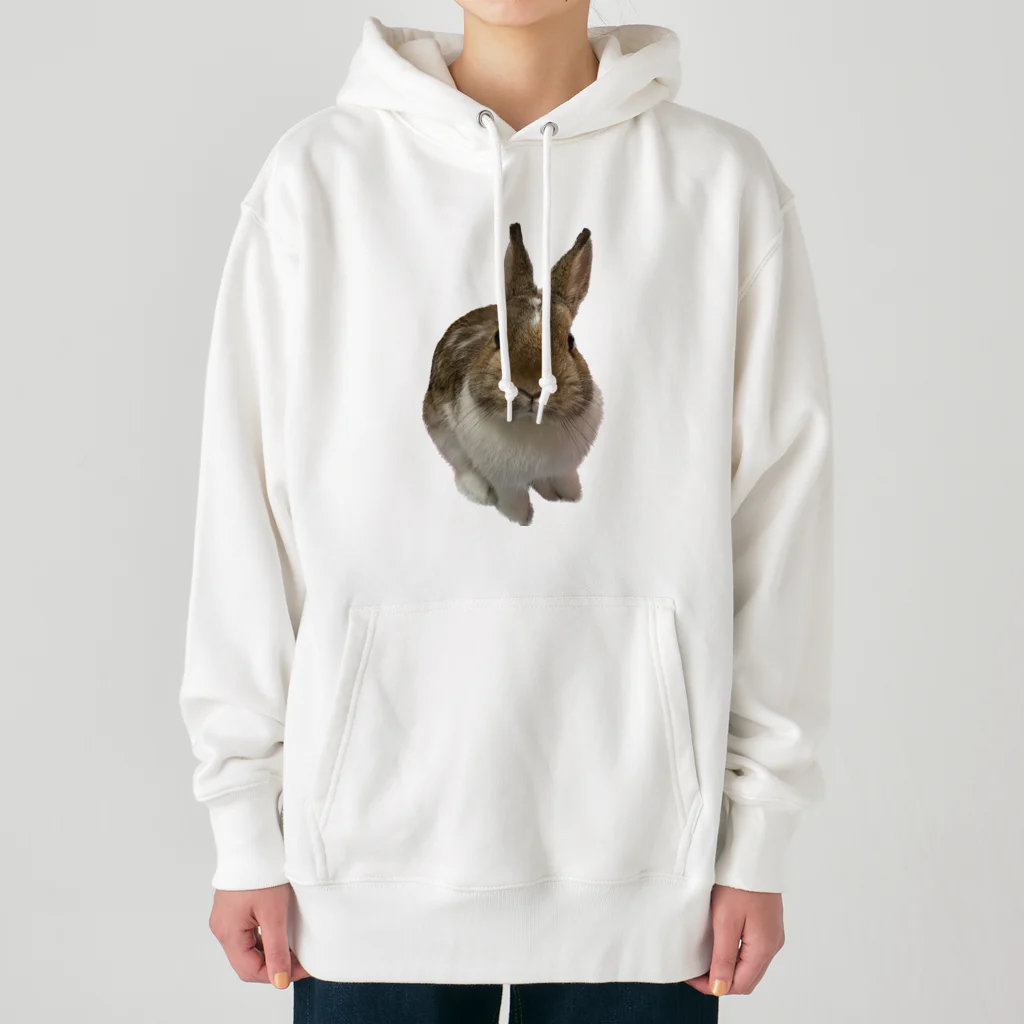 moruchipe shopのみつめるモルペ Heavyweight Hoodie