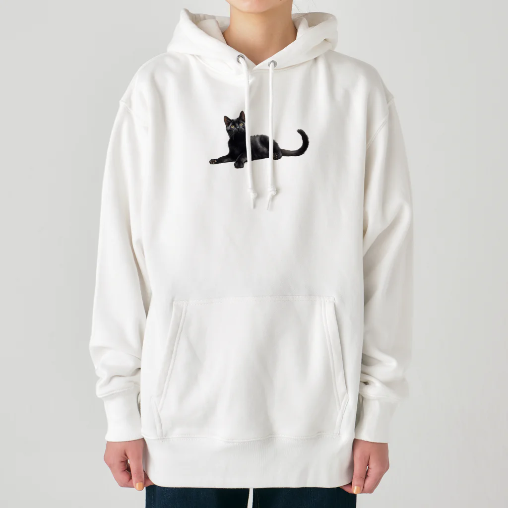 日向ぼっこの黒猫ちも Heavyweight Hoodie