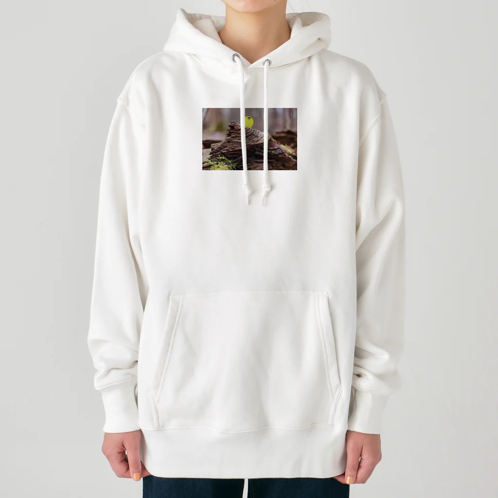 羽田ベースのぽんぢ君ga生えたよ Heavyweight Hoodie