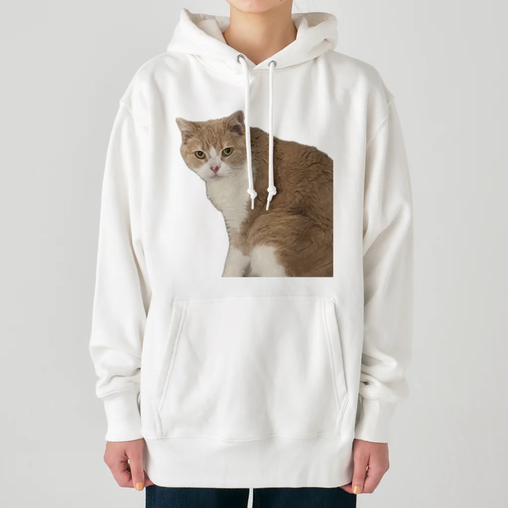 Mashlyのマシロくん猫グッズ Heavyweight Hoodie