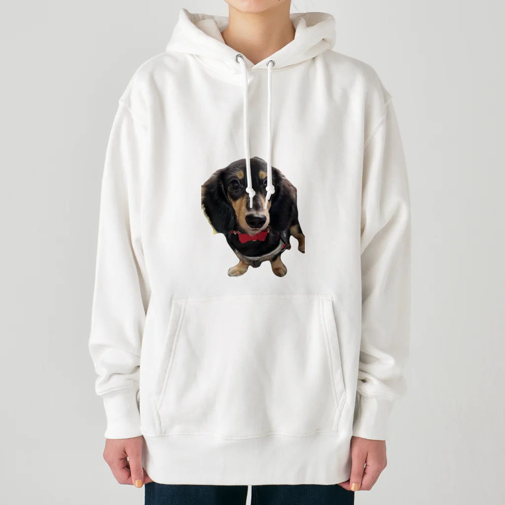 神崎エリカとはやとのグッズのカニンヘンダックスの隼人くん Heavyweight Hoodie