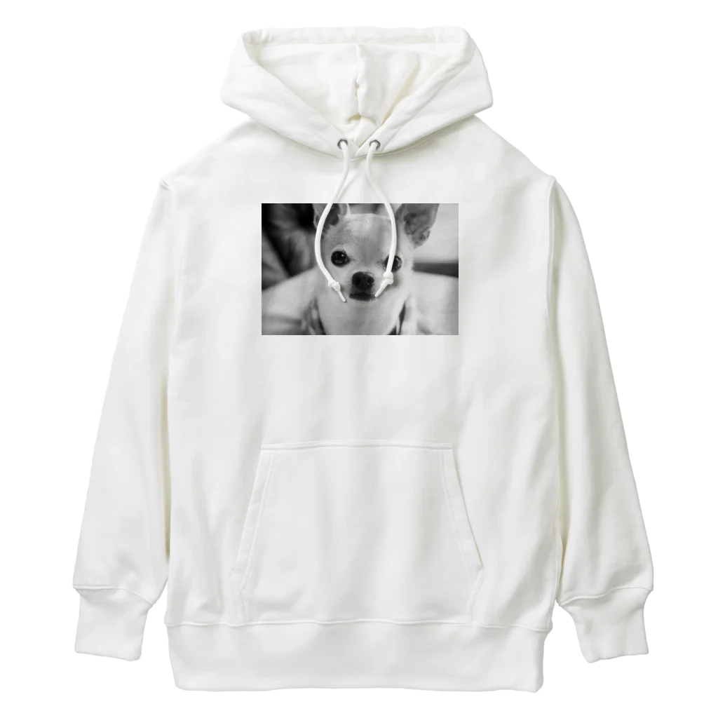 akane_art（茜音工房）のモノクロチワワ（おすまし） Heavyweight Hoodie