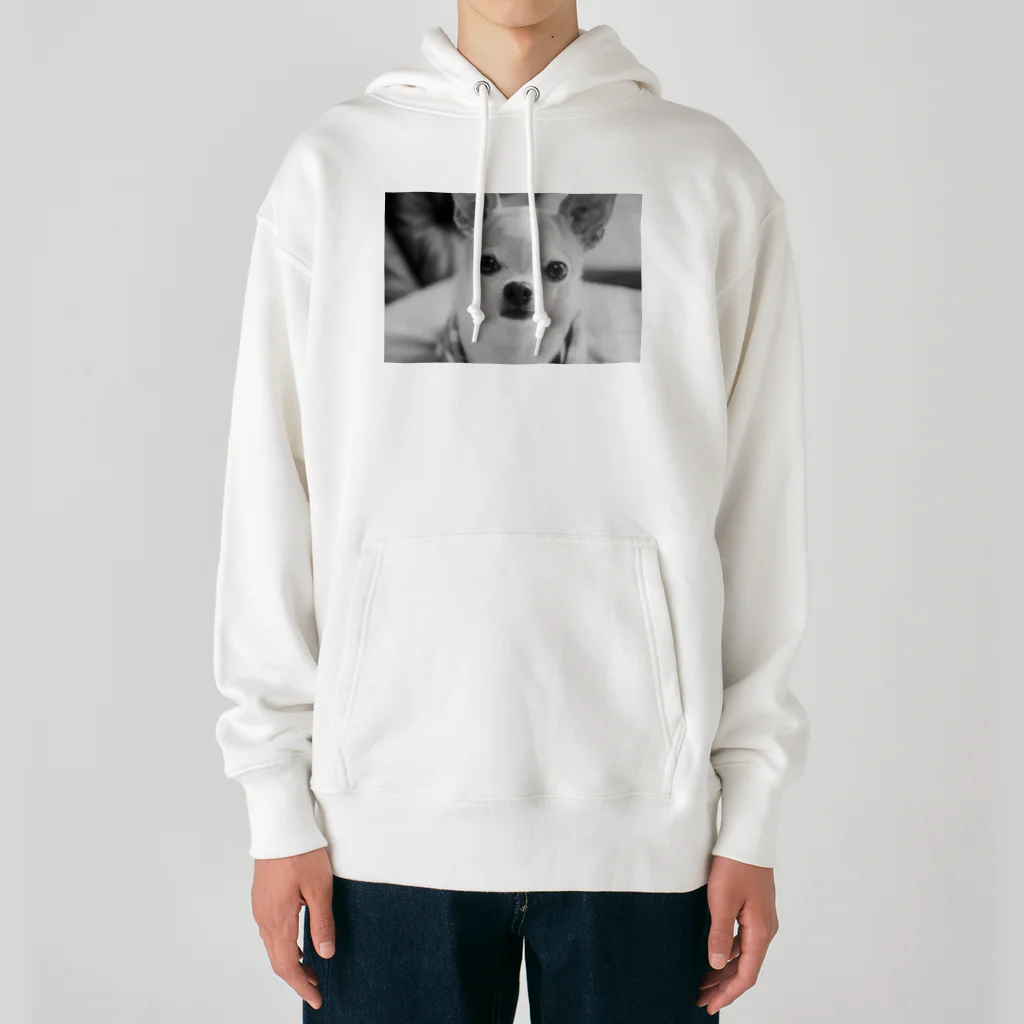 akane_art（茜音工房）のモノクロチワワ（おすまし） Heavyweight Hoodie