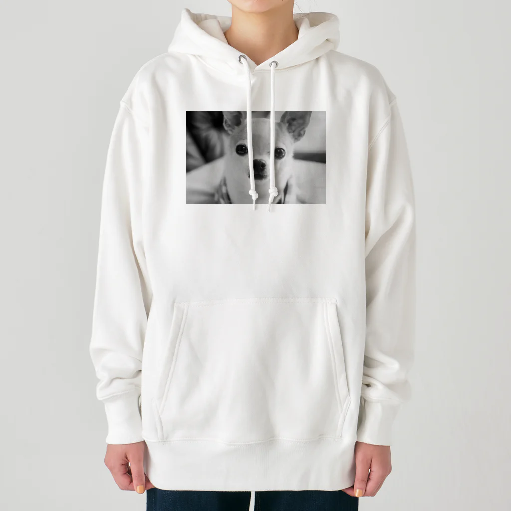 akane_art（茜音工房）のモノクロチワワ（おすまし） Heavyweight Hoodie