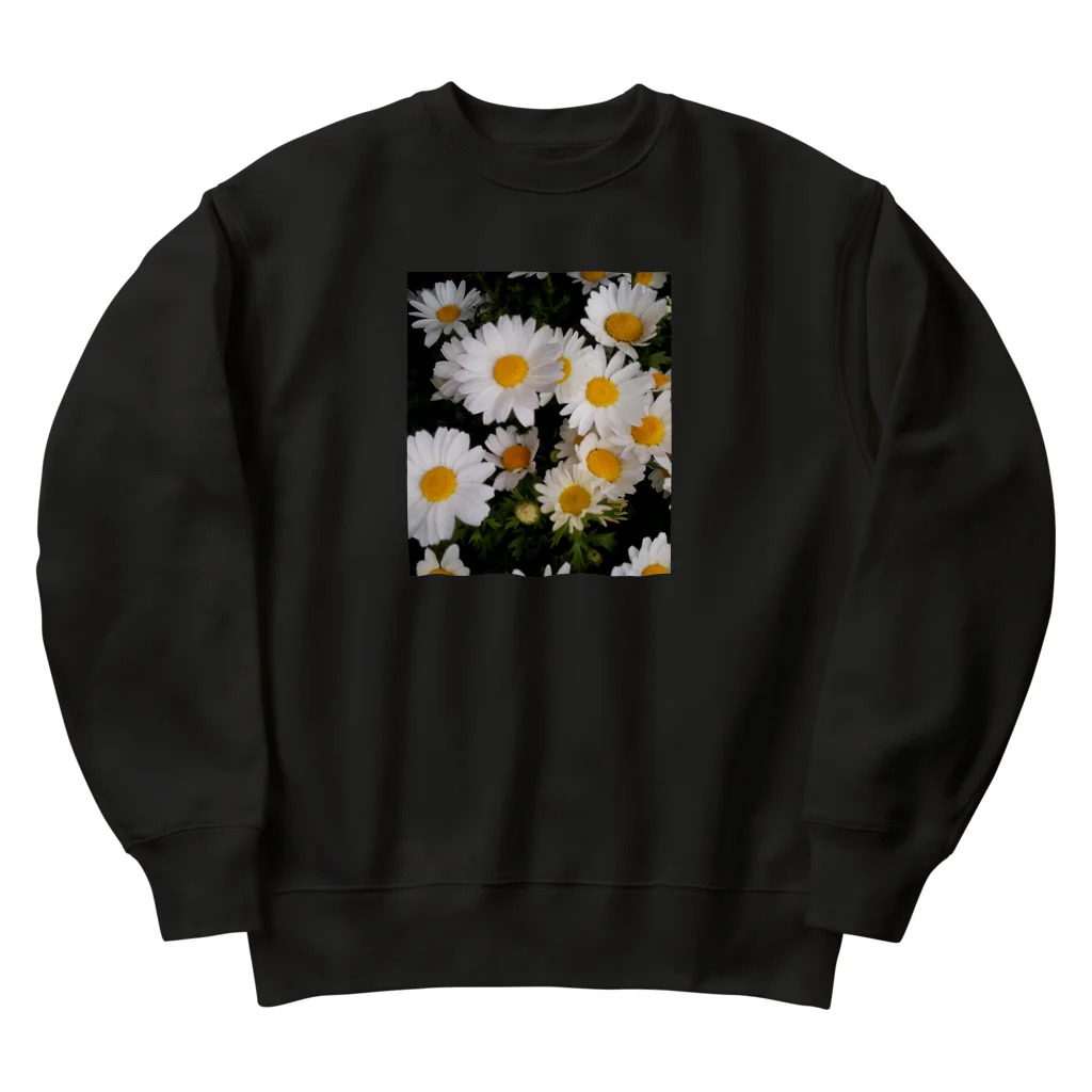 ハルノコのノースポール Heavyweight Crew Neck Sweatshirt