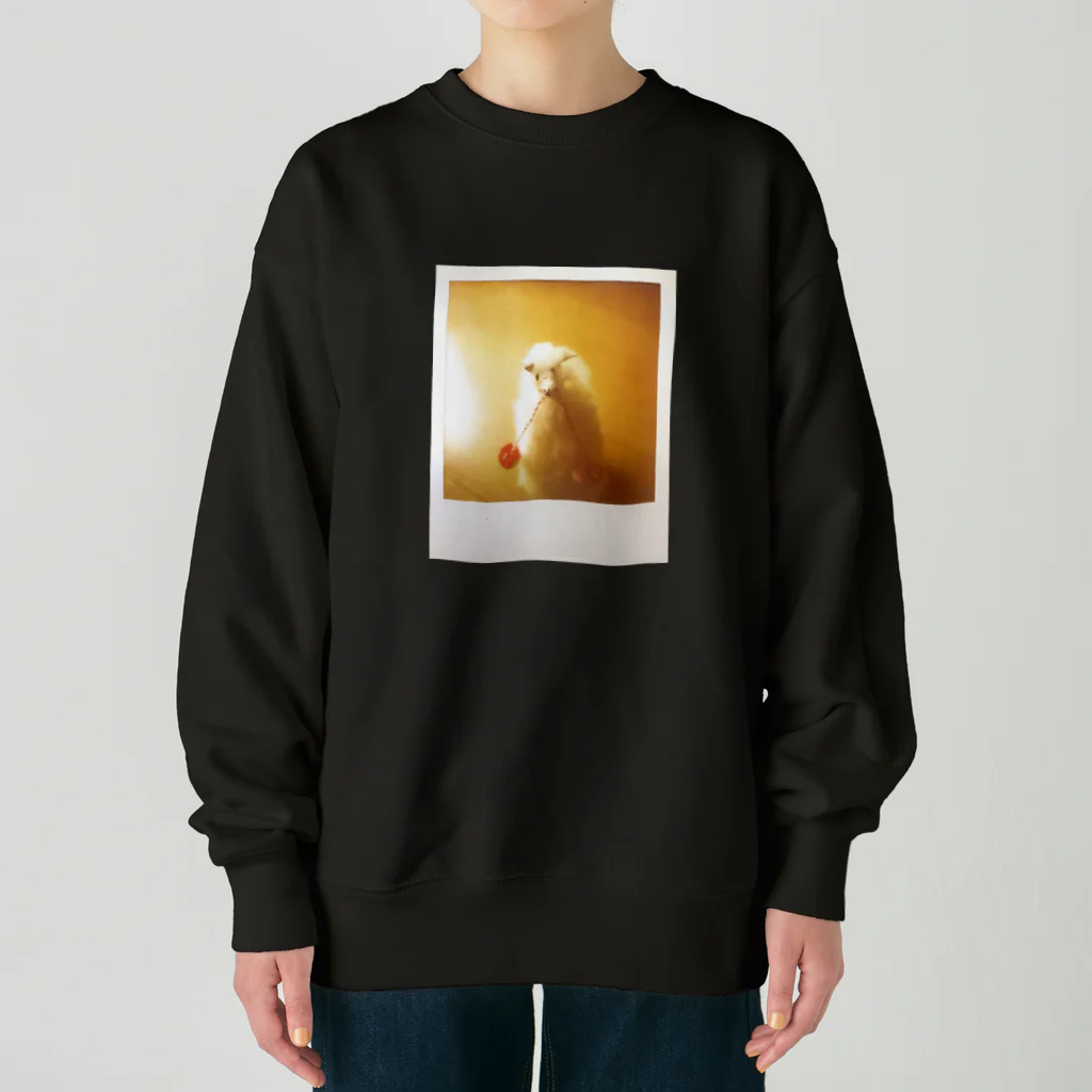 わらしゃんどのポラロイド写真（アルパカ） Heavyweight Crew Neck Sweatshirt