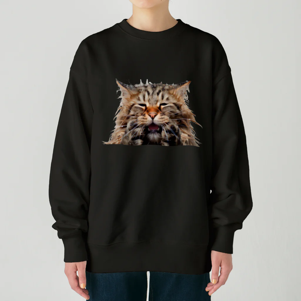 日向ぼっこのずぶ濡れ猫 Heavyweight Crew Neck Sweatshirt