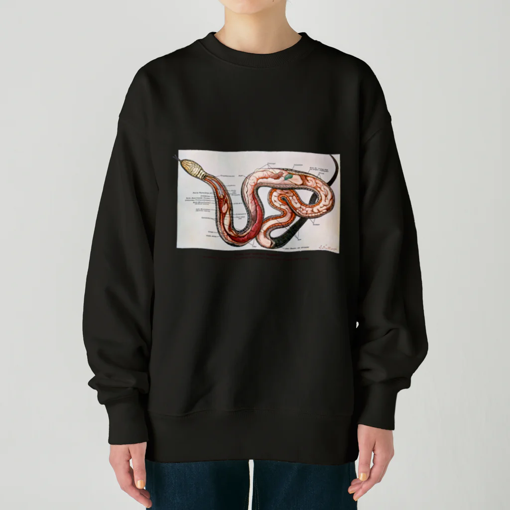 Rubbishのヘビの解剖 Heavyweight Crew Neck Sweatshirt