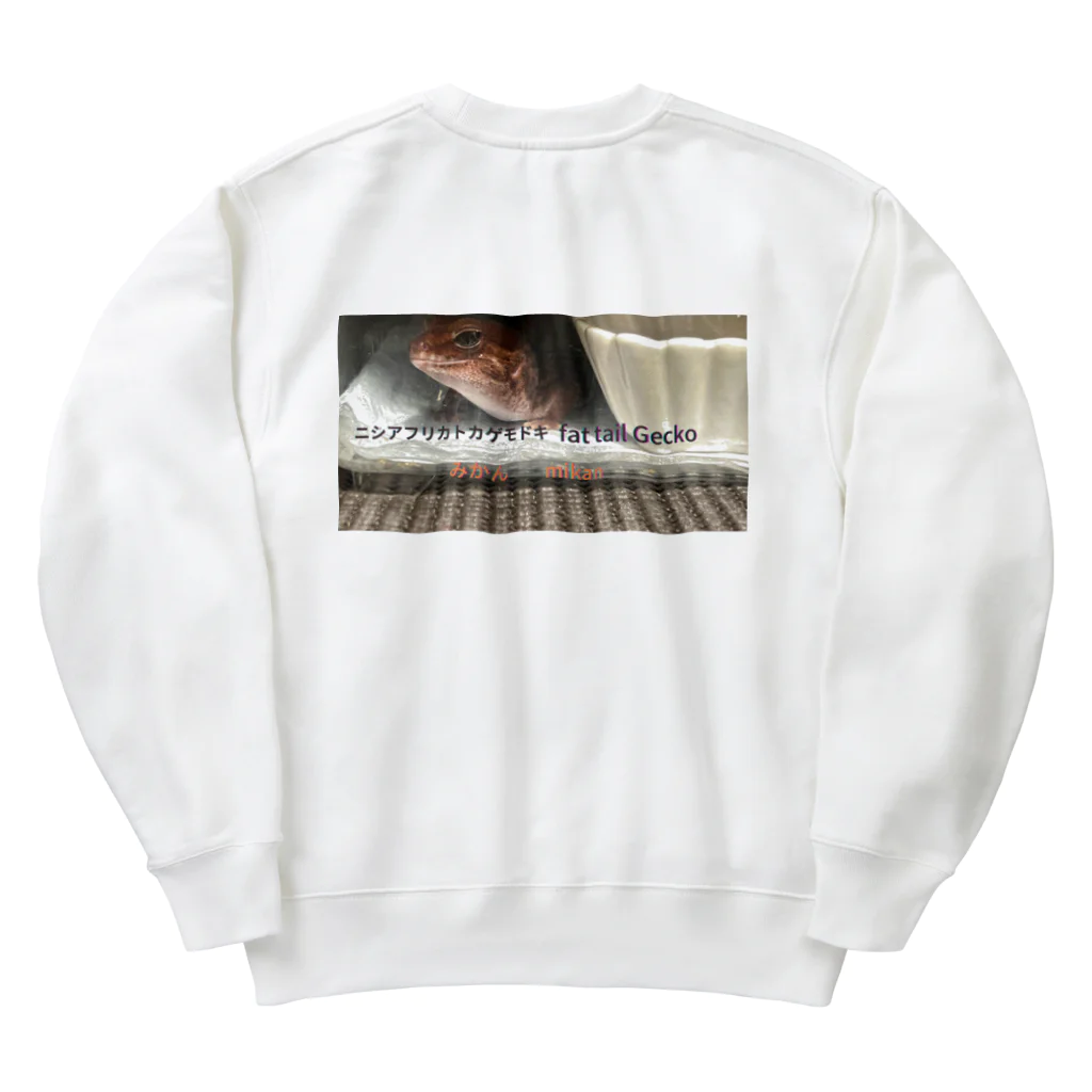 カメオタクの飼育箱のヒョウモントカゲモドキ＆ニシアフリカトカゲモドキ Heavyweight Crew Neck Sweatshirt