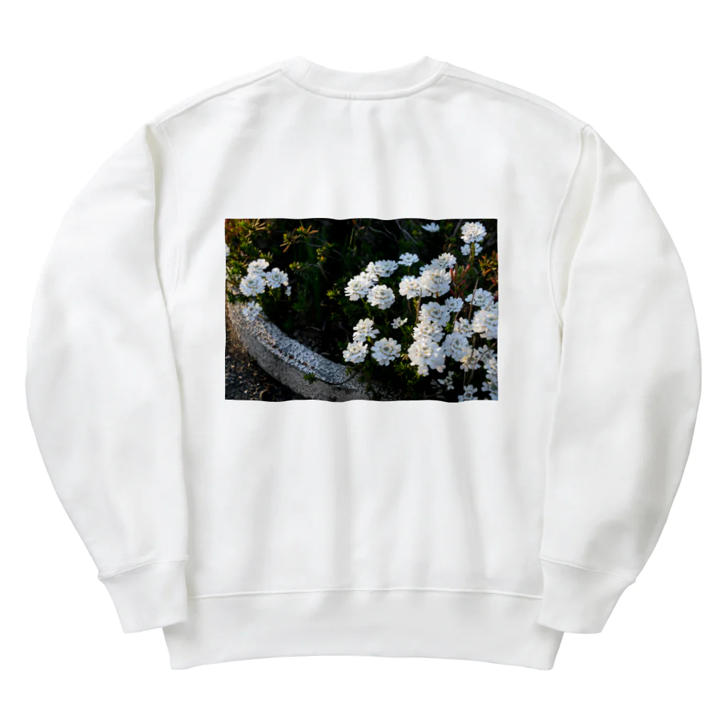 坊ちゃんのイベリス Heavyweight Crew Neck Sweatshirt