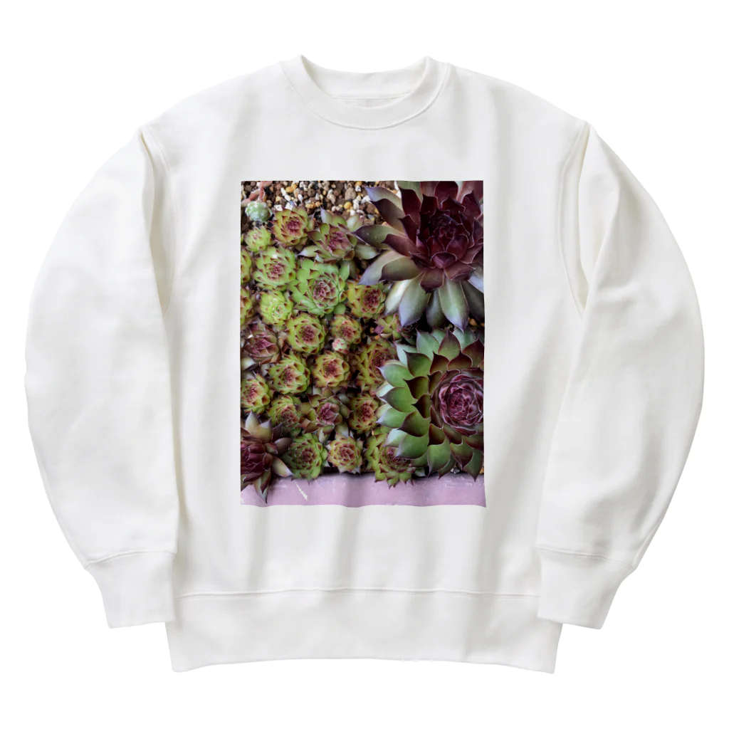 シアン猫の植物図鑑のセンペルいっぱい Heavyweight Crew Neck Sweatshirt