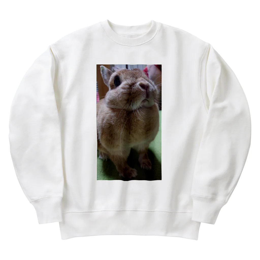 みわ☆うさぎのぼさつのぼさつ Heavyweight Crew Neck Sweatshirt