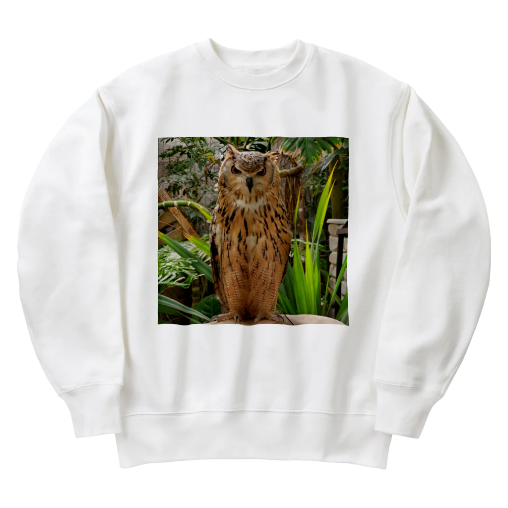 イラストTシャツ【ULTIMATE】のフクロウさん Heavyweight Crew Neck Sweatshirt