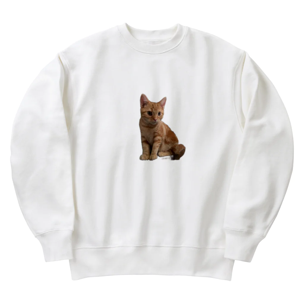 NoeL_SのおチビNoel Heavyweight Crew Neck Sweatshirt