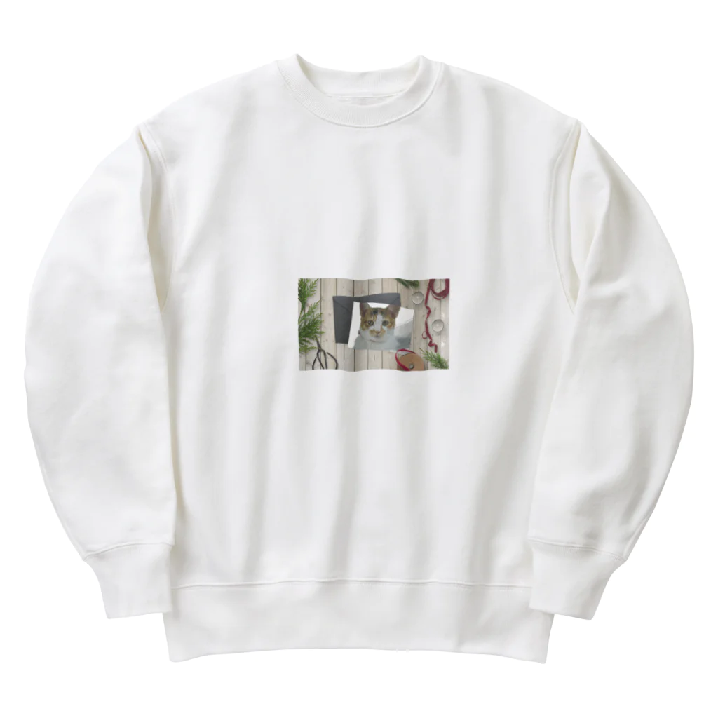 shop kochibiのこねこんずのむぎの2 Heavyweight Crew Neck Sweatshirt