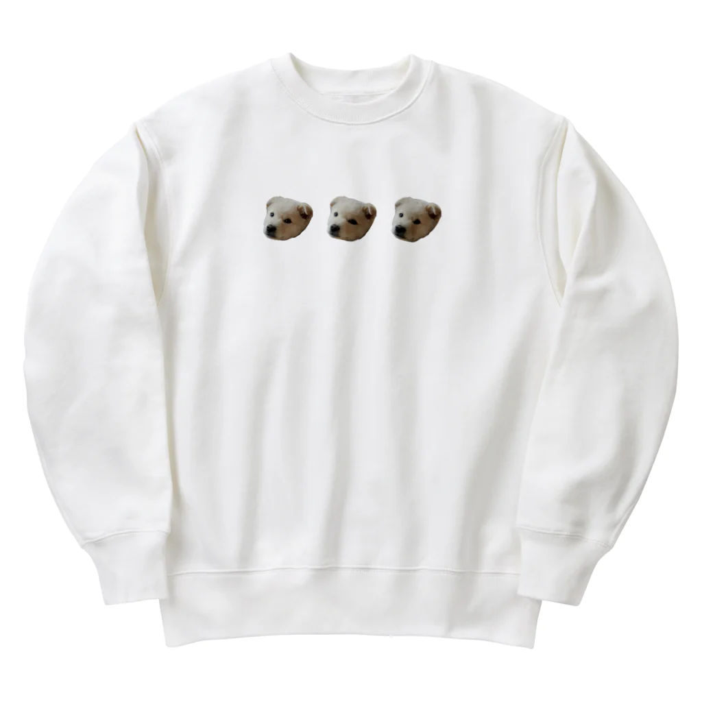 ゴンのいぬ 3連 Heavyweight Crew Neck Sweatshirt