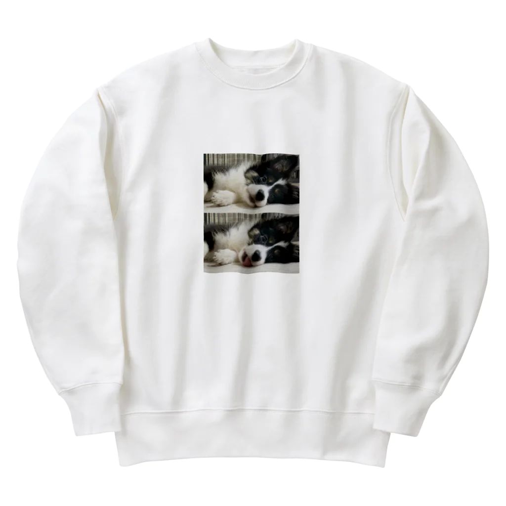 【お店】ボーダーコリーのモクの床 Heavyweight Crew Neck Sweatshirt