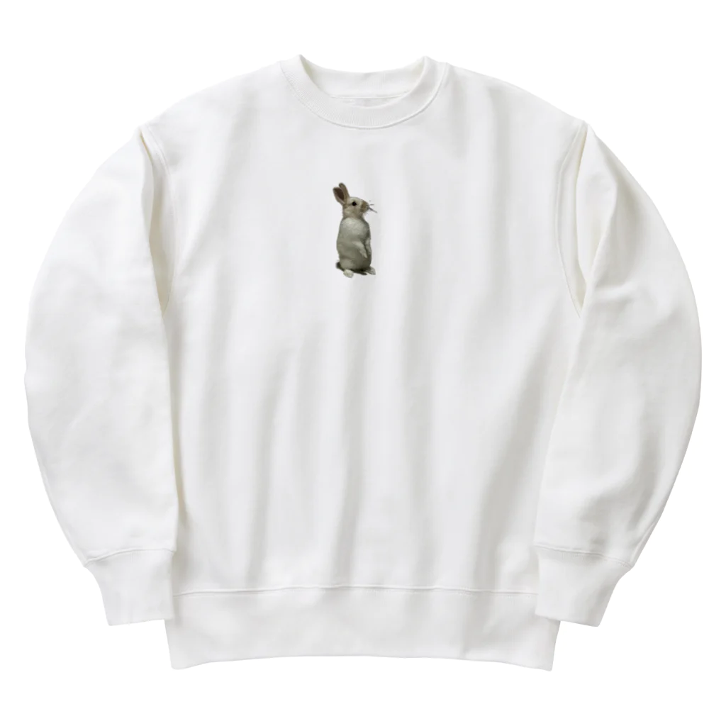 はるさんStoreのはるさん立ち姿 Heavyweight Crew Neck Sweatshirt