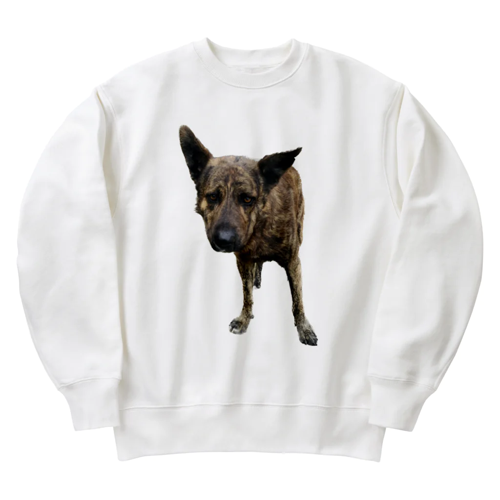 EYE CANDYの愛犬注意 Heavyweight Crew Neck Sweatshirt