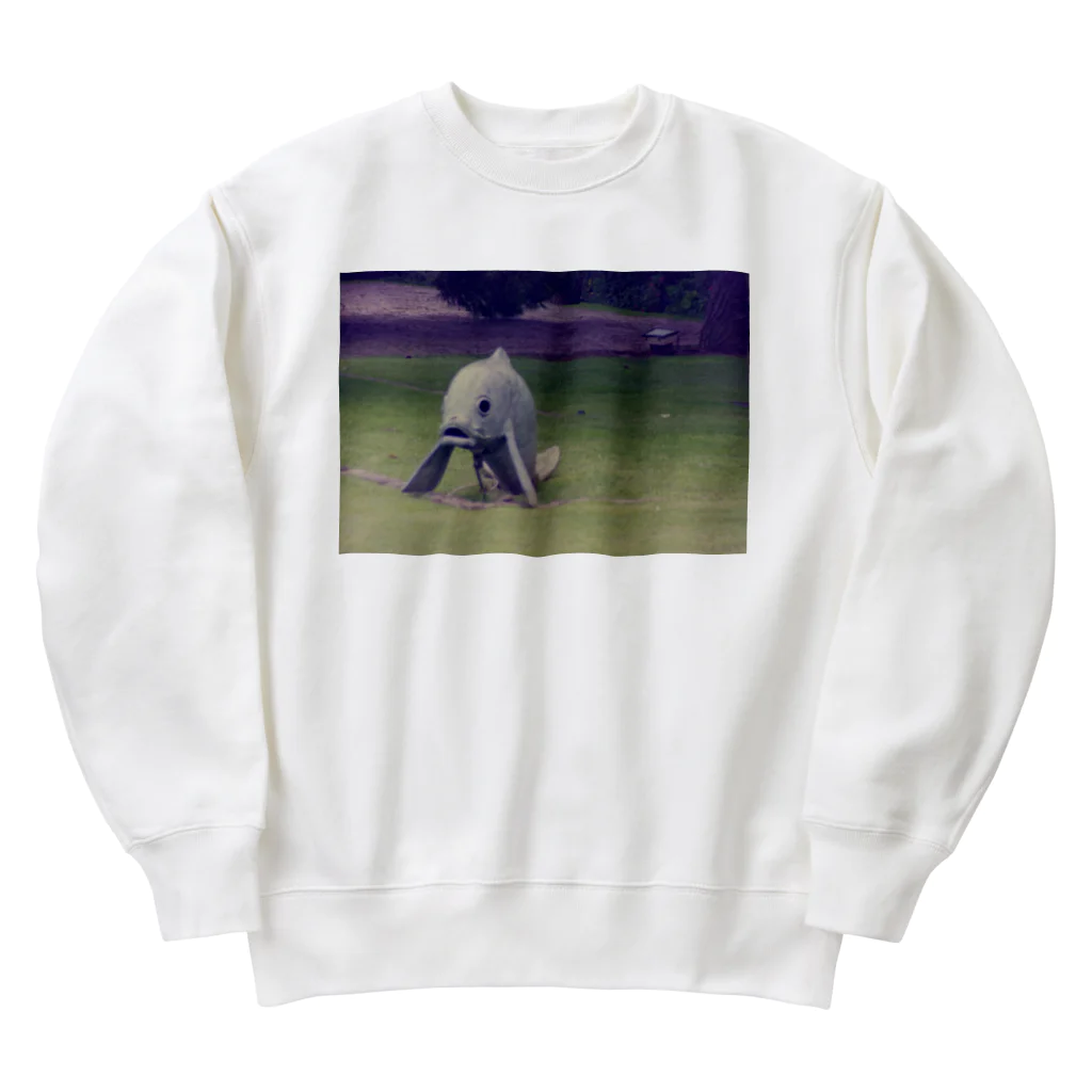 Robin_Hiroshimaのリスボンの公園に居た鯉 Heavyweight Crew Neck Sweatshirt