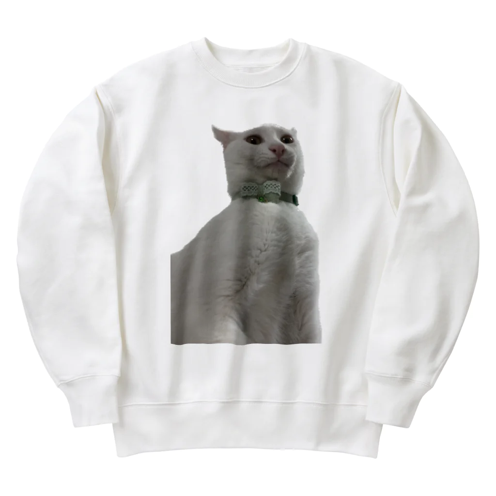 花鶴亀商店の鳩胸亀 Heavyweight Crew Neck Sweatshirt