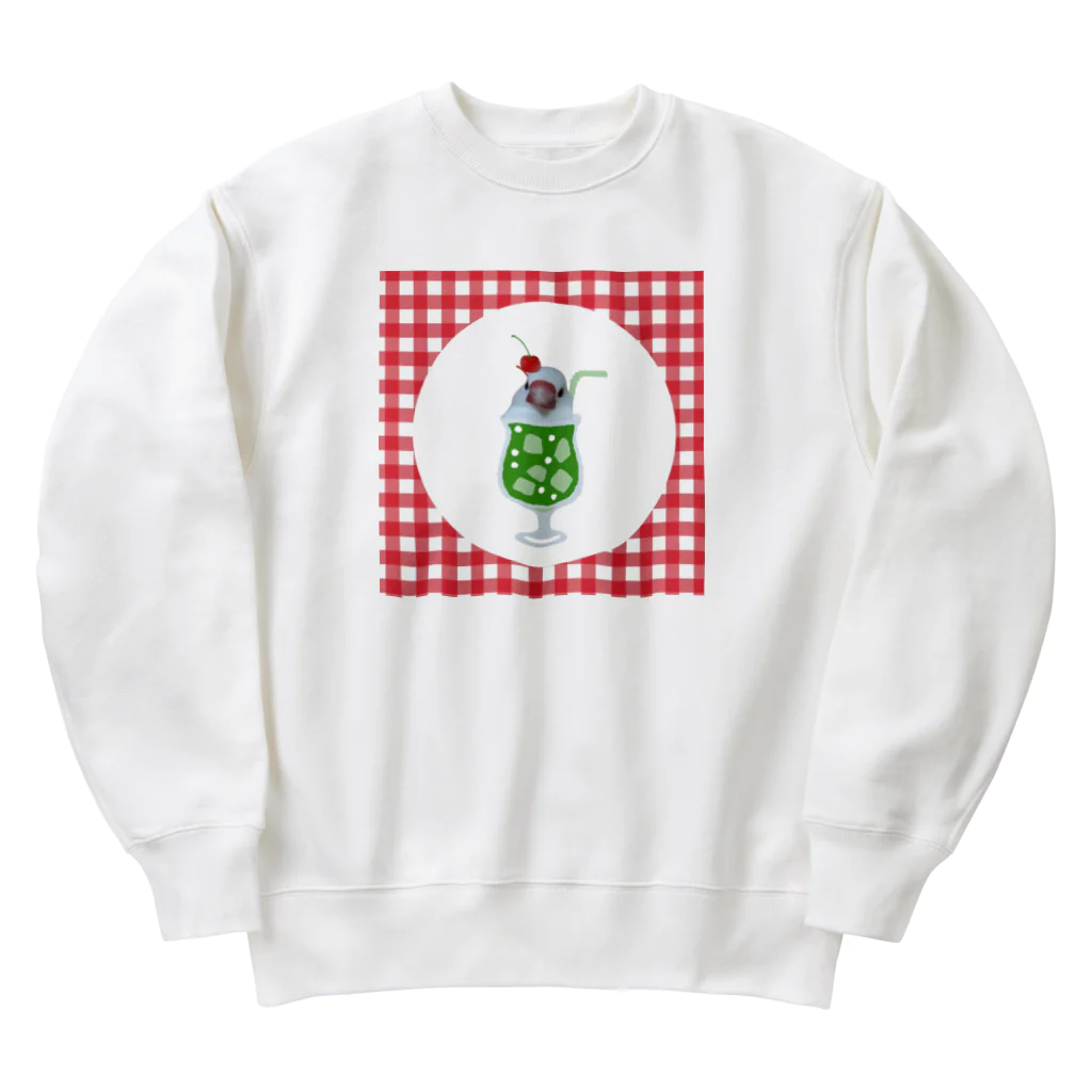 bunbunのメロンソーダ文鳥　ギンガム Heavyweight Crew Neck Sweatshirt