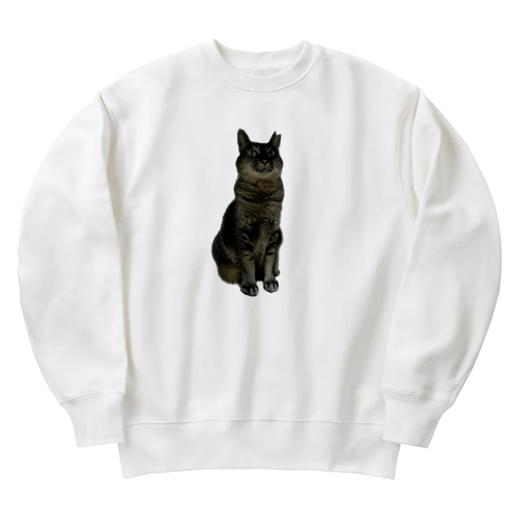 趣味の店 あねもやしのびっくり猫シリーズ Heavyweight Crew Neck Sweatshirt