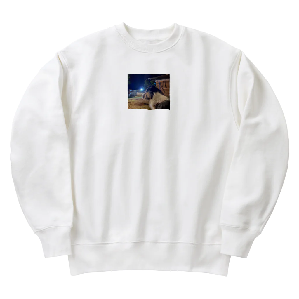 _masa_masa_のスタッフォードシャーテリア Heavyweight Crew Neck Sweatshirt