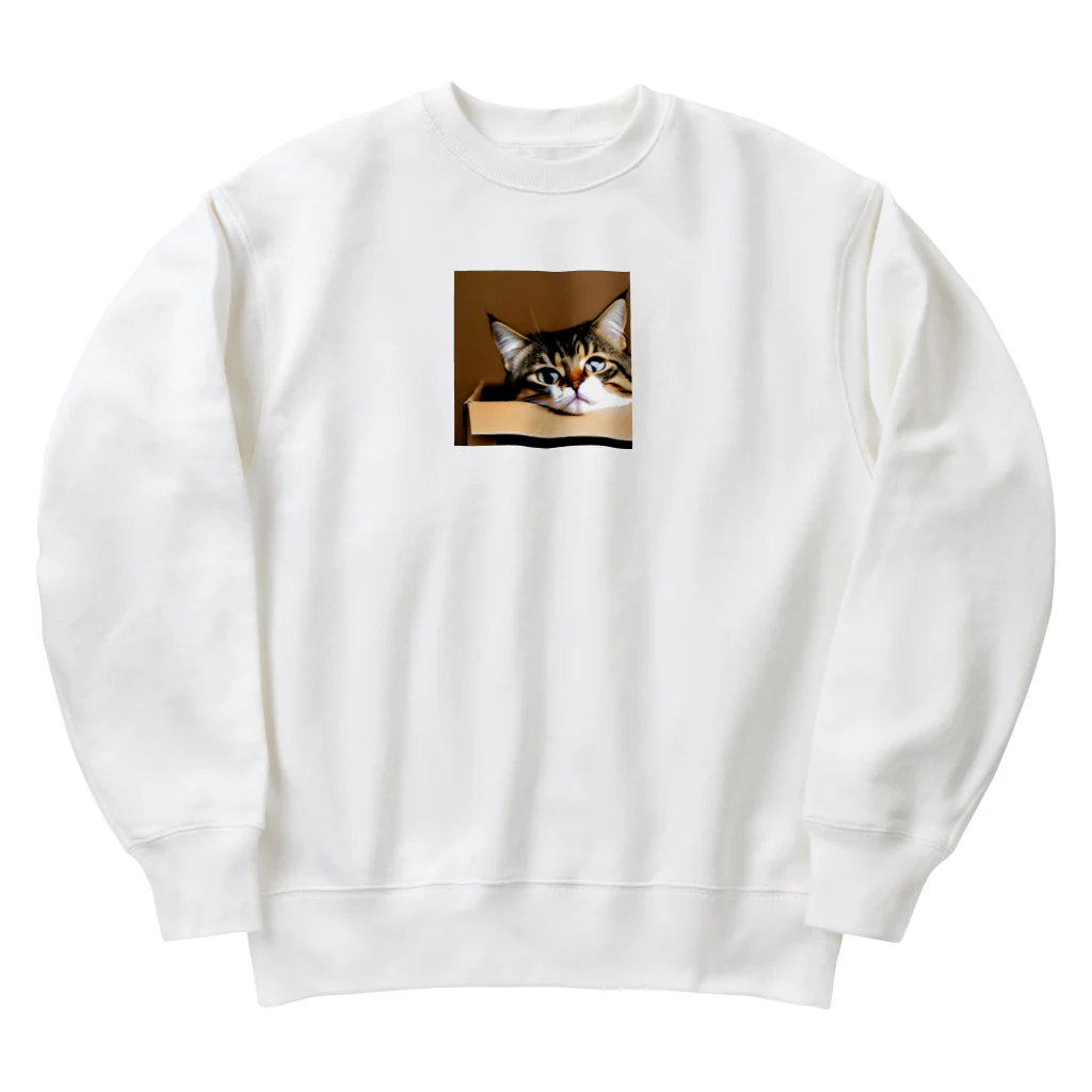 チェリオの箱に入った可愛い猫 Heavyweight Crew Neck Sweatshirt