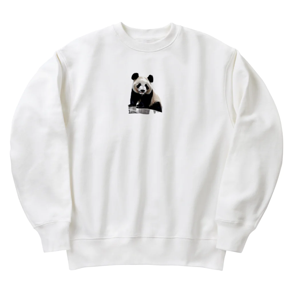 パンダリアンのパンダグッズ🐼 Heavyweight Crew Neck Sweatshirt