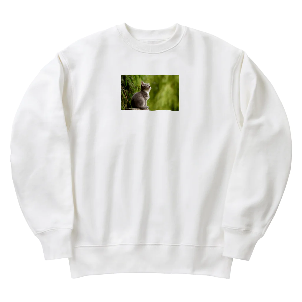 名もなきただの学生?の猫の日常 Heavyweight Crew Neck Sweatshirt