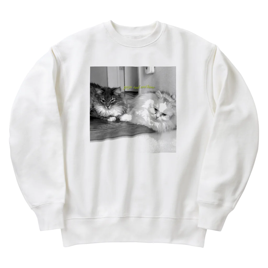 妖怪 水姫城-Yokai.Mizukijyo-ฅ^ơωơ^ฅ♡の#ネコヒメペット 64ฅ^ơωơ^ฅ♡ Heavyweight Crew Neck Sweatshirt